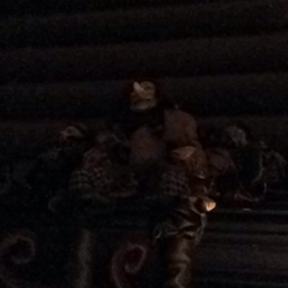 Meet your Posher, Kevin - Picture 1 of 1